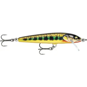 Σκληρός δόλωμα για σαρκοφάγα ψάρια Rapala Floater Elite image-0
