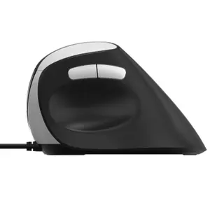 Souris Rapoo EV200