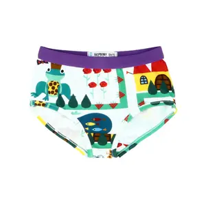 Girl's panties Raspberry Republic image-0