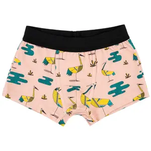 Boxershorts voor babyjongens Raspberry Republic image-0