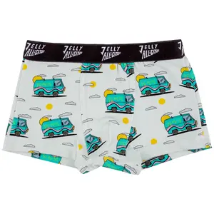 Boxer shorts Raspberry Republic image-0