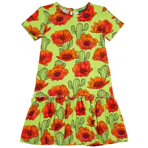 Girl's dress Raspberry Republic image-0