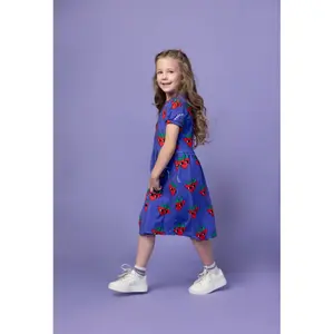 Girl's dress Raspberry Republic image-2