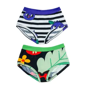 Girl's panties Raspberry Republic (x2) image-0
