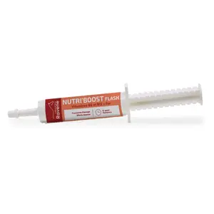 Vitaminas y minerales para caballos Ravene Nutri'Boost Flash