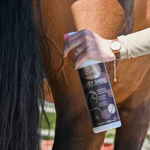 Destruidor de cavalos Ravene Easy Shine image-2