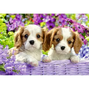 2 puzzles 24 pieces soft friends Ravensburger image-2