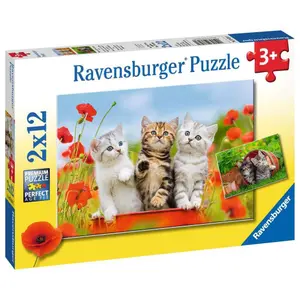 2 puzzles 12 pieces the discovery of cats Ravensburger image-2