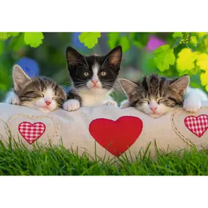 2 puzzles 24 pieces kittens at rest Ravensburger image-2