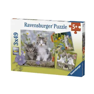 3 puzzles 49 pieces tabby cats Ravensburger image-1