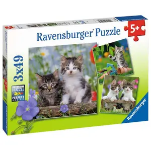 3 puzzles 49 pieces tabby cats Ravensburger image-2