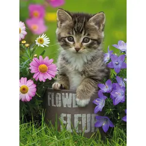 Puzzle of 100 pieces xxl - kitten among the flowers Ravensburger image-1