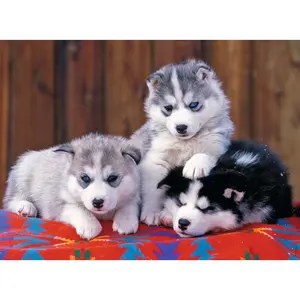 Puzzle 200 pieces xxl cute huskies Ravensburger image-1