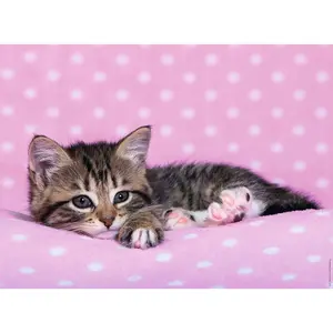 Puzzle 200 pieces xxl nap time Ravensburger image-1