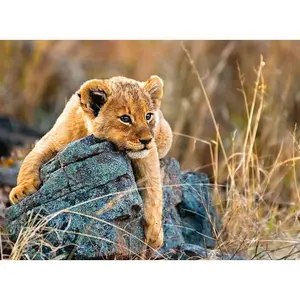 200-piece xxl lion cub puzzle Ravensburger image-1