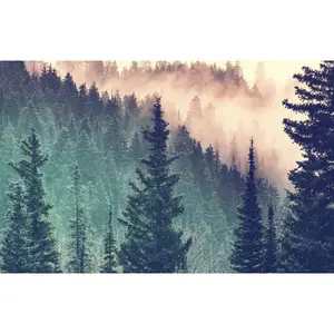 Puzzles 200 pieces moment wood Ravensburger image-2