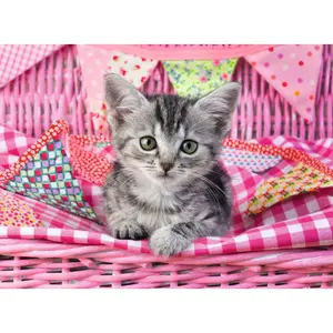 100 pieces puzzle xxl cute kitten Ravensburger image-1