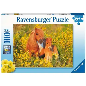 Puzzle of 100 pieces xxl shetland ponies Ravensburger image-0