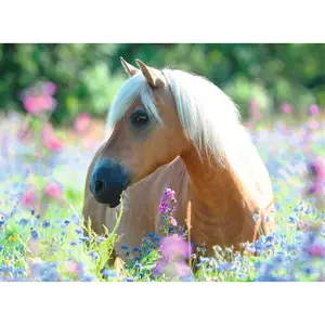 Puzzle 300 pieces xxl horse in the meadow Ravensburger image-1