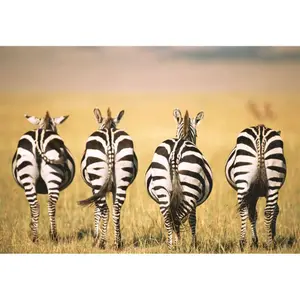 300 pieces zebra moment puzzle Ravensburger image-1