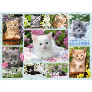 Puzzle 500 pieces kittens in their baskets Ravensburger image-1