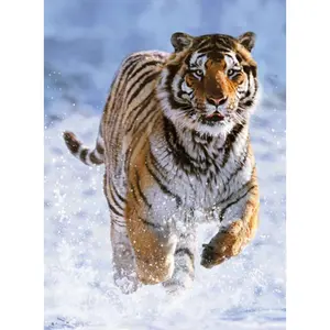 Puzzle 500 pieces tiger in the snow Ravensburger image-1