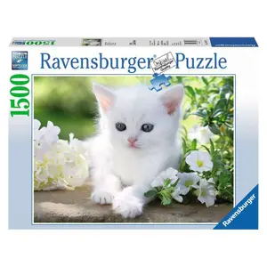 1500 pieces white kitten puzzle Ravensburger image-0