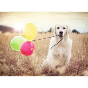 500 pieces puzzle party day Ravensburger image-1