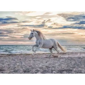 Puzzle 500 pieces horse on the beach Ravensburger image-1