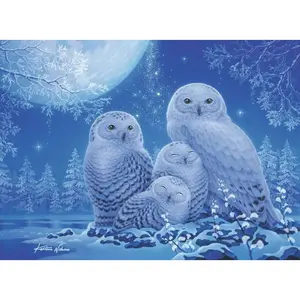 Puzzle 500 pieces star line owls in the moonlight Ravensburger image-1