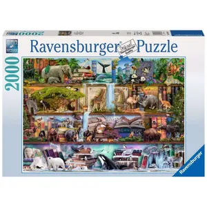 2000 pieces puzzle beautiful animal world / aimee stewart Ravensburger image-0