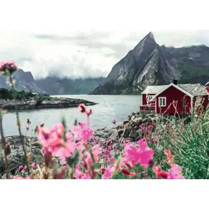 1000 piece puzzle queen, lofoten, norvège - highlights puzzle Ravensburger image-1