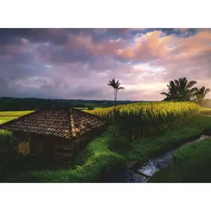 Puzzle 500 pieces rice fields of bali Ravensburger image-1