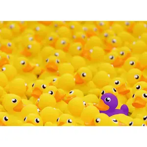 1000 pieces ducks puzzle Ravensburger image-1