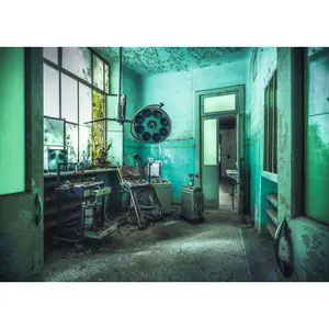 1000 piece puzzle the psychiatric hospital Ravensburger image-1