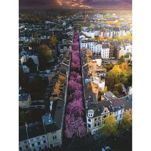1500 pieces puzzle bonn in flowers Ravensburger image-1