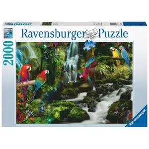 Puzzle 2000 pieces the parrot paradise Ravensburger image-0