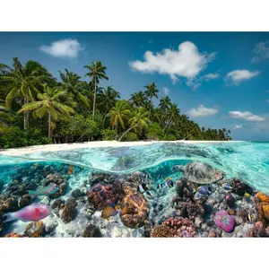 2000-piece jigsaw puzzle: a dive in the Maldives Ravensburger image-0