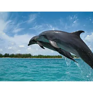 500 pieces puzzle nathan love it all / ettavee - carte blanche collection Ravensburger image-1