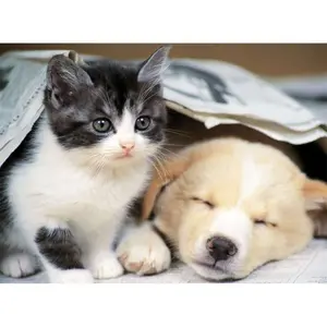 500 pieces puzzle nathan wake up Ravensburger image-1