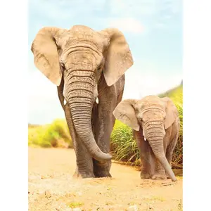 500 pieces jigsaw nathan elephants in the steppes Ravensburger image-1