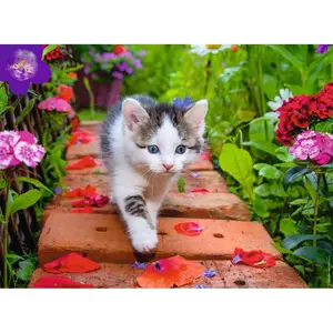 500 pieces puzzle nathan kitten in the garden Ravensburger image-0