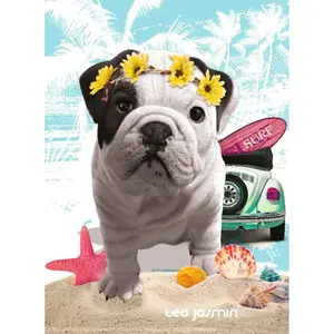 500 pieces puzzle nathan teo california / teo jasmine Ravensburger image-1