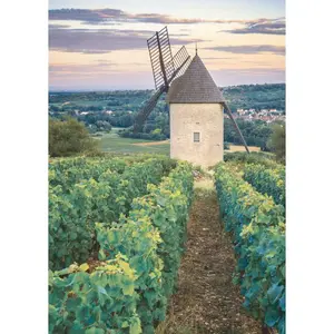 Puzzle of 1000 pieces mill sorine of the vineyard of santenay, burgundy Ravensburger image-1
