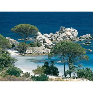 1000 pieces puzzle palombaggia beach, south corsica Ravensburger image-2