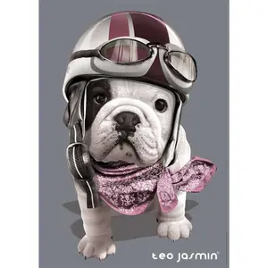 1000 pieces teo puzzle racing / teo jasmine Ravensburger image-1