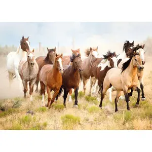 1000 pieces puzzle riding in the desert Ravensburger image-1