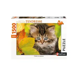Puzzle of 1500 pieces kitten in autumn Ravensburger image-0