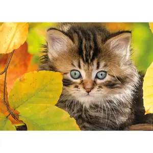 Puzzle of 1500 pieces kitten in autumn Ravensburger image-1