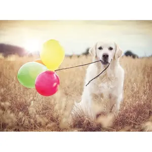 500 piece puzzle Ravensburger Perro Con Globos image-1